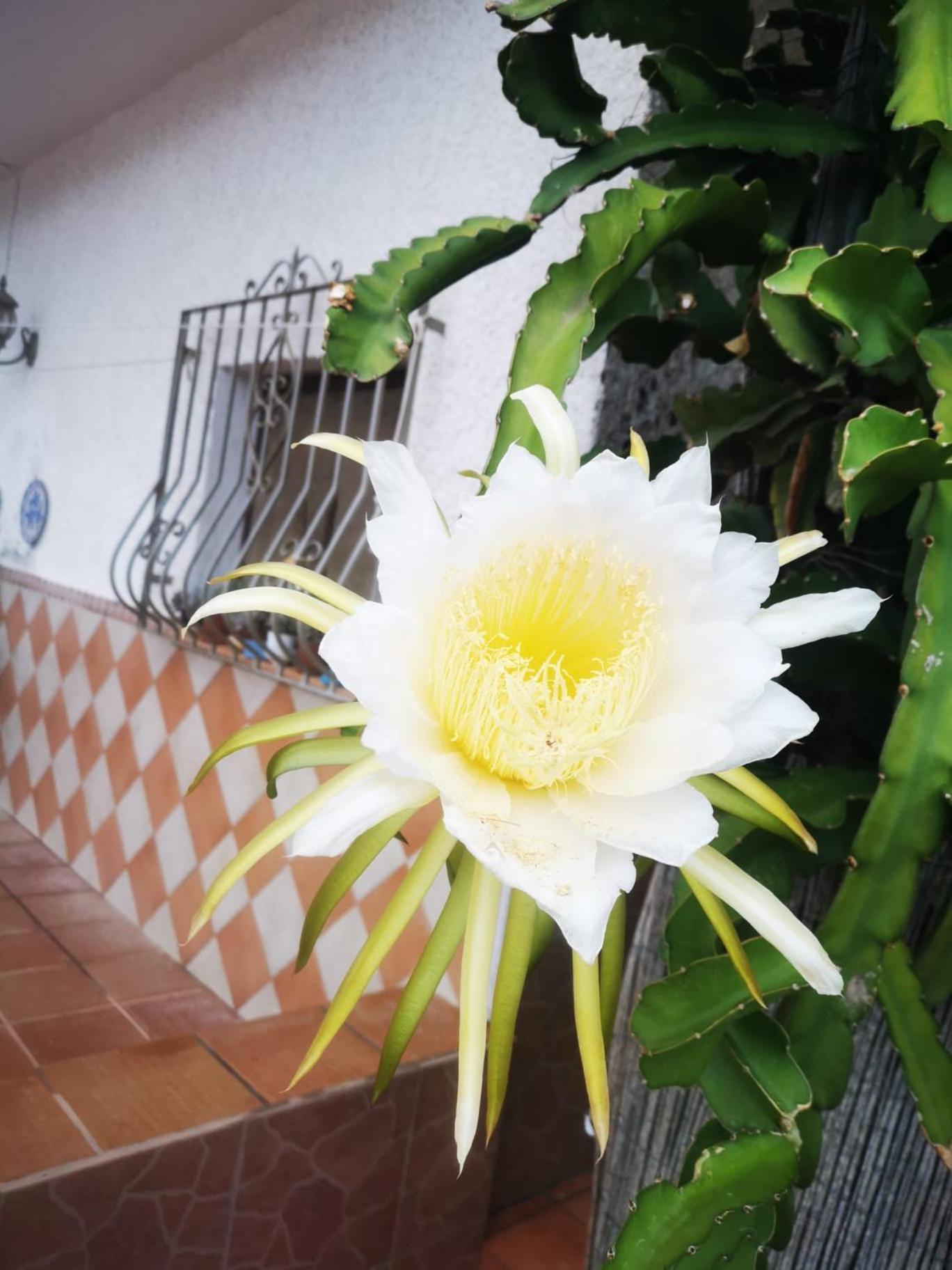 Apartament Vivienda Rural En Cabo De Gata El Pozo de los Frailes Zewnętrze zdjęcie
