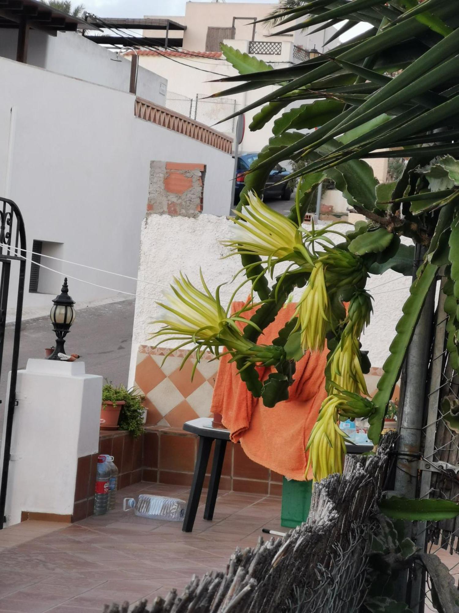 Apartament Vivienda Rural En Cabo De Gata El Pozo de los Frailes Zewnętrze zdjęcie